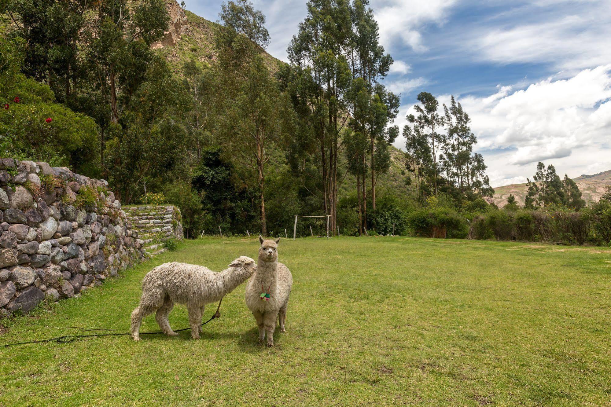 Hotel Hacienda Del Valle Урубамба Экстерьер фото
